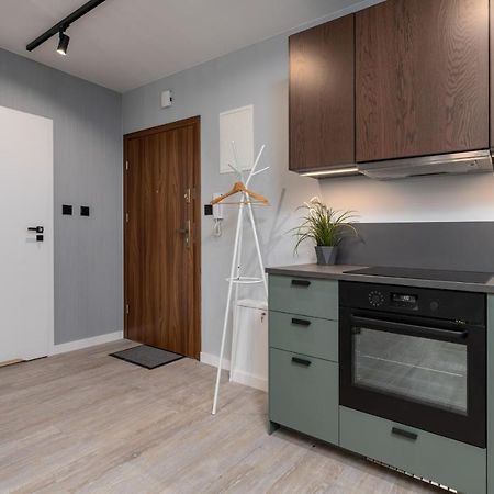 Citycenterapartments-11/21 Бельско-Бяла Экстерьер фото